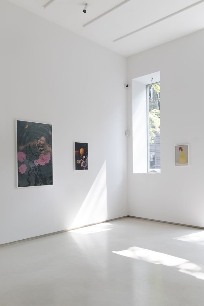 Surrender gallery view.