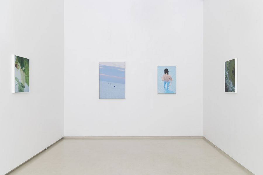 Surrender at Tempesta Gallery
