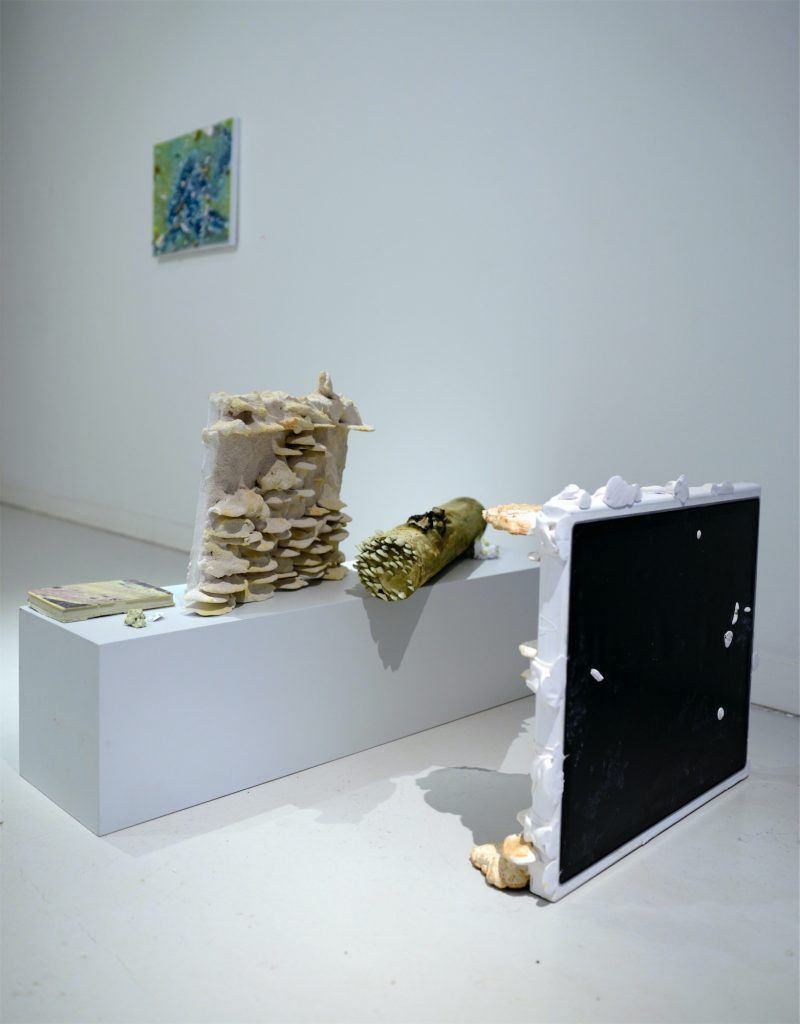 Alma Heikkilä gallery view.