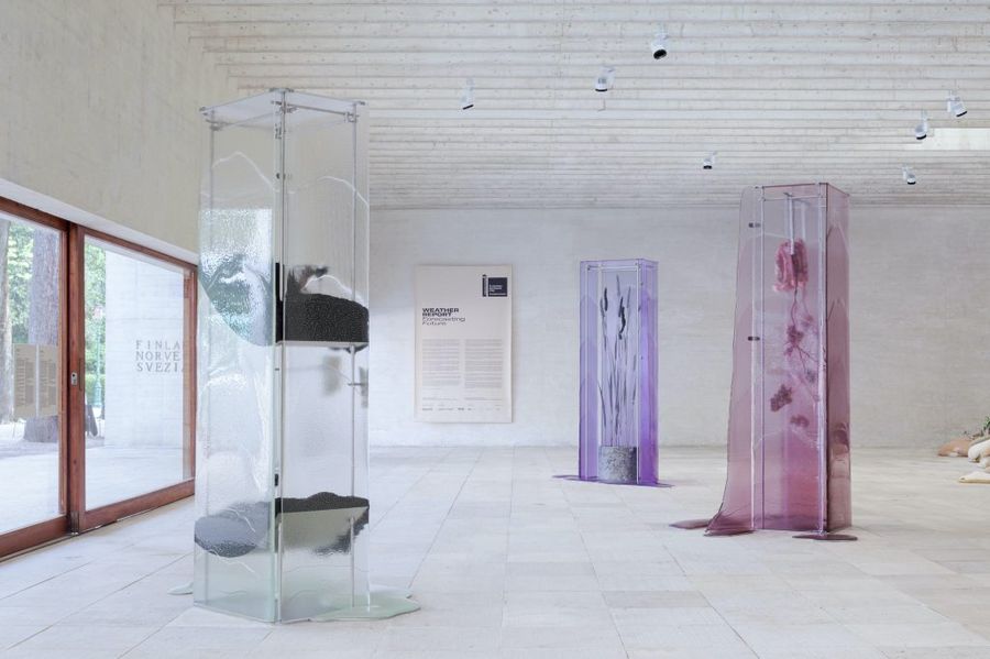 Ane Graff gallery view.