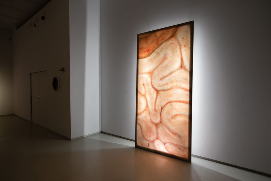 Hot Prefontal Cortex gallery view.