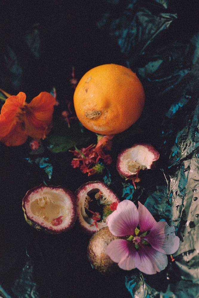 Lucretia road at Tempesta Gallery