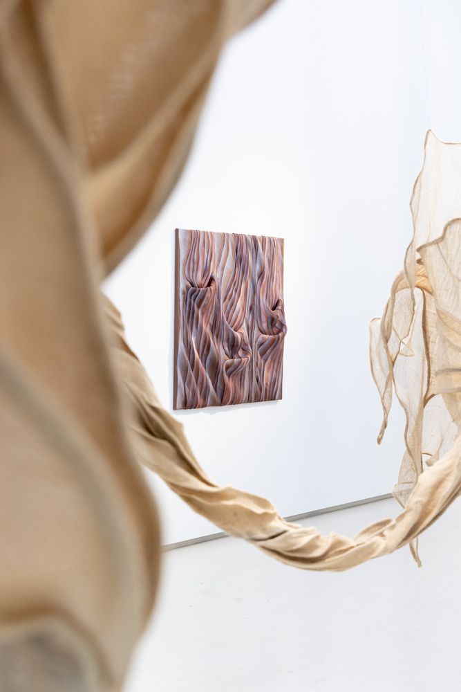 Introspection gallery view.