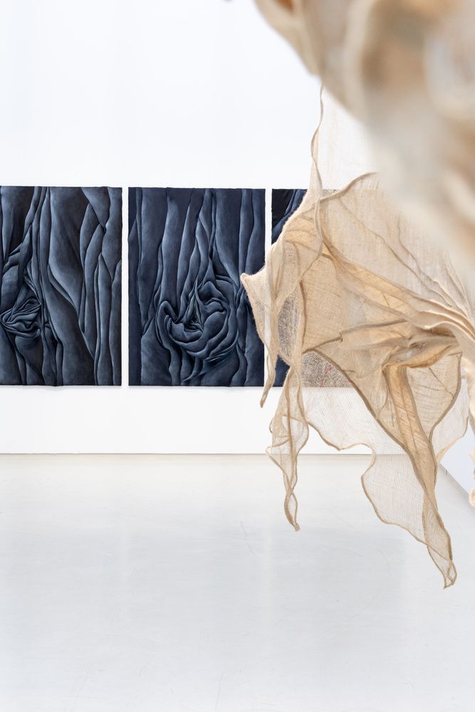 Introspection gallery view.