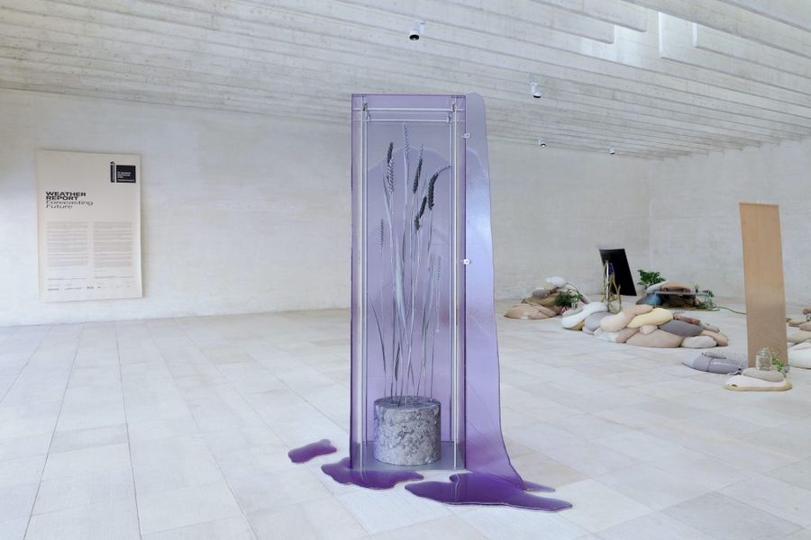 Ane Graff gallery view.