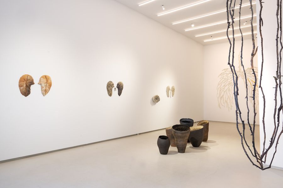 Tummo gallery view.