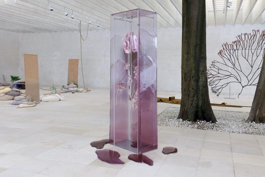 Ane Graff gallery view.