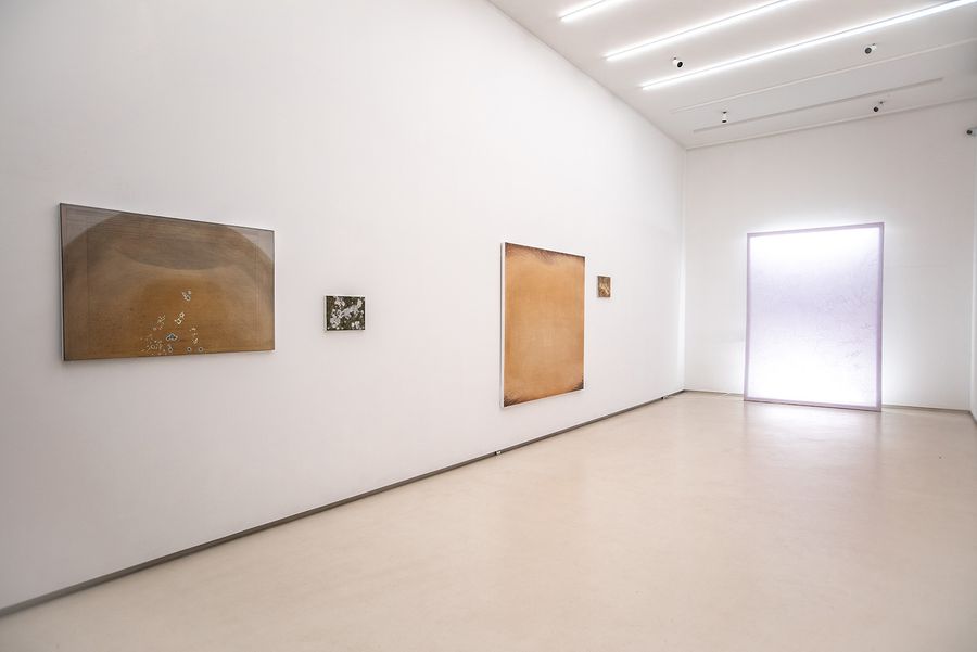 Hot Prefontal Cortex at Tempesta Gallery